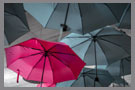 umbrella liability